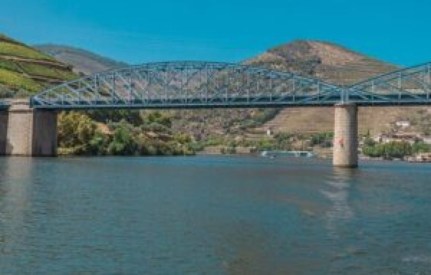 Visite Complète des vins