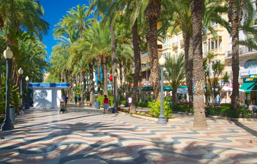 Alicante