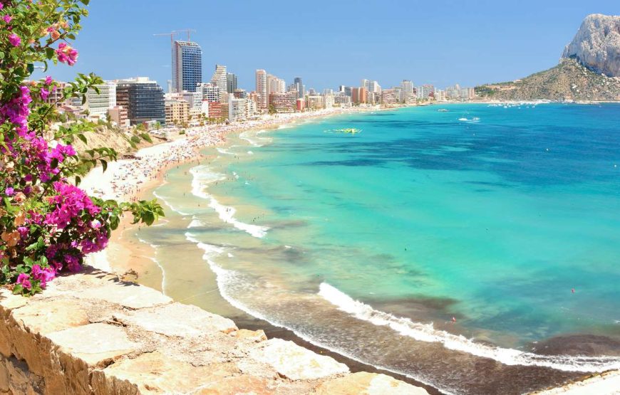 Alicante
